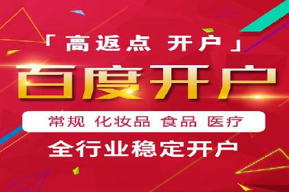 百度竞价排名案例分析：提升网站流量与转化率